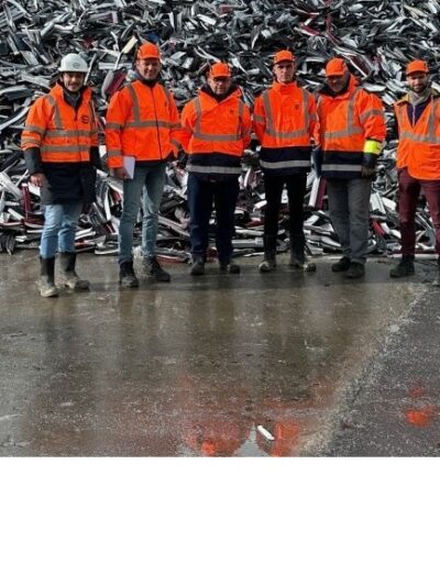 2. Acheteurs réguliers